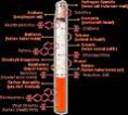 /album/photogallery/asap-rokok3-jpg/